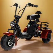 Электробайк-электротрицикл Gbike TRIKE MINI 1500W